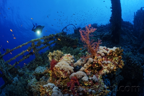Rotes Meer, September 2022