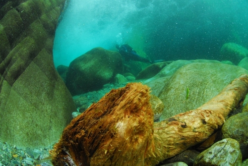 Verzasca, Treibholz nach Unwetter